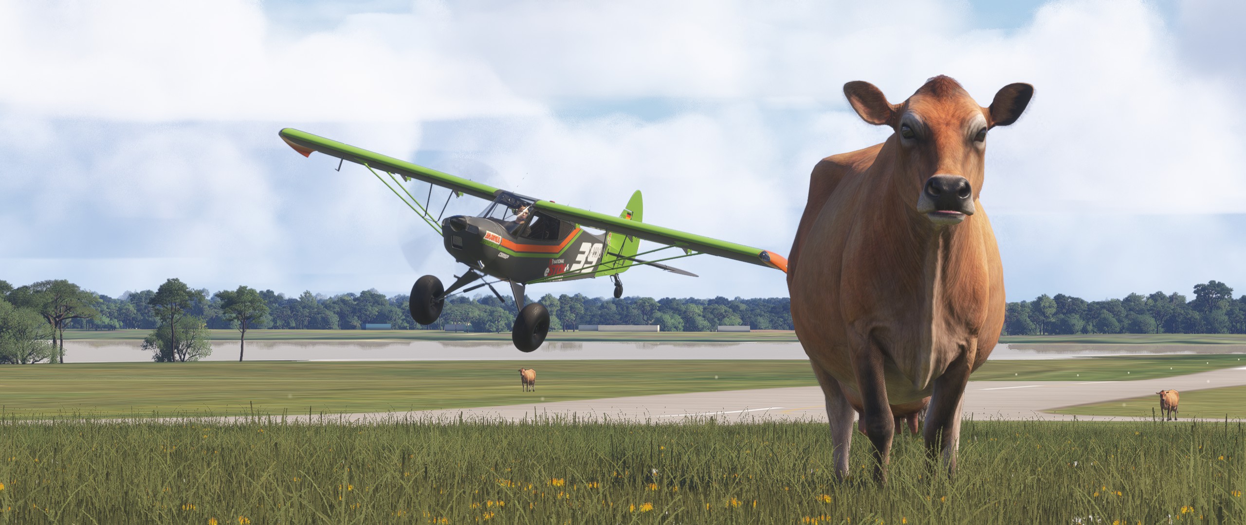 Unlimited Class aircraft for National eSTOL